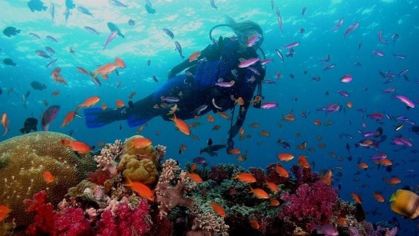 RECONOCIMIENTOS MÉDICOS PARA ACTIVIDADES DE PESCA SUBMARINA Y DEPORTIVAS DE BUCEO