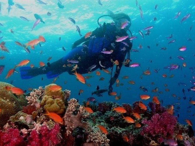 RECONOCIMIENTOS MÉDICOS PARA ACTIVIDADES DE PESCA SUBMARINA Y DEPORTIVAS DE BUCEO